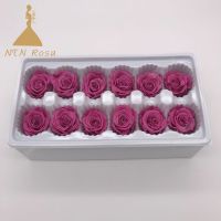 Leading Preserved Flowers Supplier and Manufacturer NTN Rosa