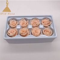 Yunnan Supplier Forever Lasting Rose for Fashion Accesories