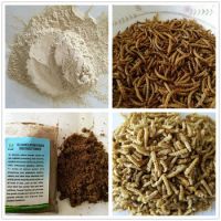 mealworm protein powder