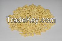 Cashew Nut Sp Vietnam Cheap Price