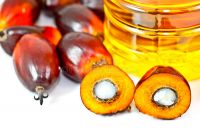 RBD Palm Olein CP10, CP8, CP6, Cooking Oil