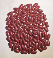 Dark Red Kidney Beans