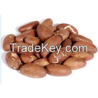 Garcinia Kola (Bitter Kola) From Nigeria