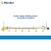 Auto Nipple Drinking System for Poultry Chicken Farm