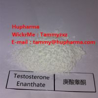 Hupharma Testosterone Enanthate injectable steroids Powder