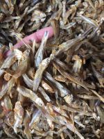 Dried Anchovy Fish