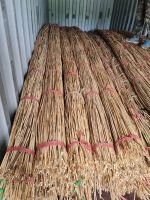 High quality raw rattan from Vietnam