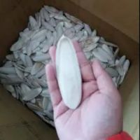 Competitive Price And High Quality Cuttlefish Bone From Vietnam