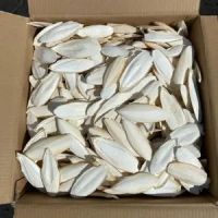 Vietnam Dried Natural White Cuttlefish Bone Bird Food Squid Bone Cuttle Fish Bones Bird Nutrition Supplement