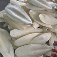 HOT, Natural Squid Bones Standard Sun Dried Squid Exported From Manufacturer Pet Food Corner