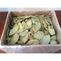 Competitive Price Dried Bay Leaf/ Laurel Leaf From VIET DELTA From Vietnam