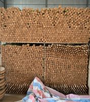 Coco Fiber Product /Viet name Factory Coconut Coir Moss Pole / Plant Moss Vietnam Coir Totem Pole