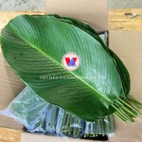 HIGH QUALITY DONG LEAVES FOR FOOD