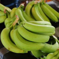NATURAL CAVENDISH BANANAS / PERFECTLY RIPE AND READY TO ENJOY!