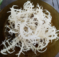 FRUITY SEA MOSS JAM / INFUSED WITH TROPICAL PASSION FRUIT / MADE IN VIETNAM