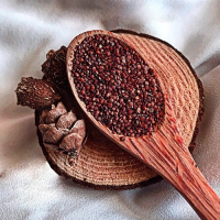 FIVE-FLOWER SEEDS VARIETY FOR GARDEN BEAUTY / MADE IN VIETNAM