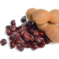 WHOLE NATURAL TAMARIND SEEDS / GREAT FOR HERBAL APPLICATIONS / MADE IN VIETNAM