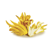 PREMIUM BUDDHA HAND FRUIT FOR FLAVORFUL GARNISHES AND INFUSIONS FRESHLY SOURCED AND QUALITY GRADE / BOLD CITRUS FLAVOR / COST-EFFECTIVE  / MADE IN VIETNAM