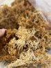 HIGH-QUALITY SEAMOSS / RICH IN MINERALS & VEGAN-SAFE / AFFORDABLE WHOLESALE PRICING  / MADE IN VIETNAM