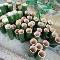 HANDCRAFTED BAMBOO TUBE / PERFECT FOR CRAFTS & DECOR / MADE IN VIETNAM From Vietnam