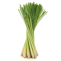 Crisp And Aromatic Fresh Lemongrass / Family Recipe / Affordable Value / Made In Vietnam