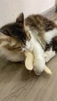 LOOFAH MOUSE CHEW...