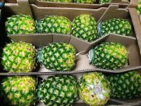 SWEET AND JUICY FRESH PINEAPPLE / FAMILY RECIPE / AFFORDABLE VALUE / MADE IN VIETNAM