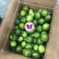 TROPICAL AND JUICY FRESH LEMONS / FAMILY RECIPE / AFFORDABLE VALUE / MADE IN VIETNAM