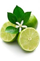 CITRUSY AND TANGY FRESH LEMONS / FAMILY RECIPE / AFFORDABLE VALUE / MADE IN VIETNAM