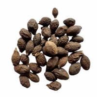 FRESH & EARTHY RAW MALVA NUTS / HANDCRAFTED QUALITY / GREAT VALUE / MADE IN VIETNAM