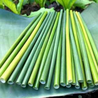 AUTHENTIC VIETNAMESE SEAGRASS STRAWS / TRADITIONAL CRAFT / AFFORDABLE VALUE / MADE IN VIETNAM