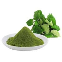 SKIN-LOVING FISH MINT POWDER / Hydrate & Revitalize / Natural Skincare / Made in Vietnam