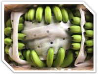 CAVENDISH BANANA / NATURAL ENERGY / CLEAN LABEL / PLANT-BASED