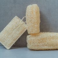 PURE LOOFAH SPONGE / NATURAL EXFOLIATION / PLANT-BASED