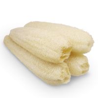 ECO-FRIENDLY LOOFAH / GENTLE SCRUB / BIODEGRADABLE