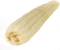 NATURAL FIBER SPONGE / LOOFAH / CLEAN LABEL / IMMUNE-FRIENDLY USE
