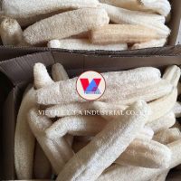 ORGANIC LOOFAH CARE / CLEAN SKIN / NATURAL GROOMING / PURE PLANT TOUCH