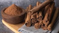 NATURAL CINNAMON SPICE POWDER / CLEAN LABEL / HERBAL GOODNESS / VEGAN FRIENDLY