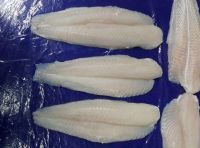WHOLE-CUT PANGASIUS FILLET / BODY STRENGTH