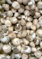PREMIUM STRAW MUSHROOMS / VEGAN FRIENDLY / NO ADDITIVES / EARTH-GROWN