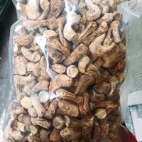 ORGANIC SHIITAKE STEM / BRAIN FUNCTION / CLEAN LABEL / PLANT-BASED