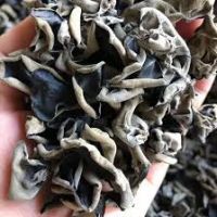 DRIED BLACK FUNGUS / VEGAN FRIENDLY / CLEAN
