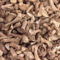 SUSTAINABLE SHIITAKE STEM / IMMUNE BOOST / CLEAN LABEL / PLANT-BASED