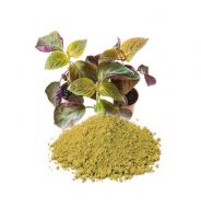 SUN-DRIED PERILLA POWDER / CLEAN SOURCE / WHOLE LEAF BASED / EARTH FRIENDLY