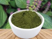 PERILLA BOTANICAL POWDER / NATURAL COLOR / ADDITIVE-FREE / VEGAN SAFE