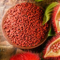 CULINARY GRADE ANNATTO / WHOLE SEEDS / NON-GMO / PLANT-BASED PRODUCT
