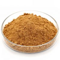 VERSATILE INDUSTRIAL WOOD POWDER / HIGH QUALITY / AFFORDABLE PRICING / MADE IN VIETNAM