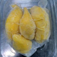 TROPICAL DURIAN SEGMENTS / FROZEN FRESH / PLANT GOODNESS / PURELY PROCESSED