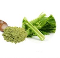 RAW CELERY JUICE POWDER / ALKALINE BOOST / CLEAN LABEL / EARTH-GROWN