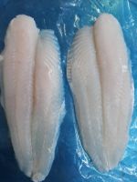 FRESHWATER BASA FILLET / PURE PROTEIN / ANTIBIOTIC